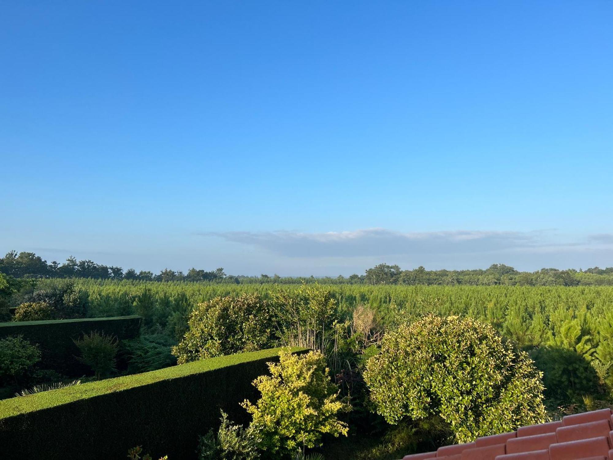 Jolie Maison De Vacances Avec Terrasse Et Jardin Saint-Julien-en-Born Extérieur photo