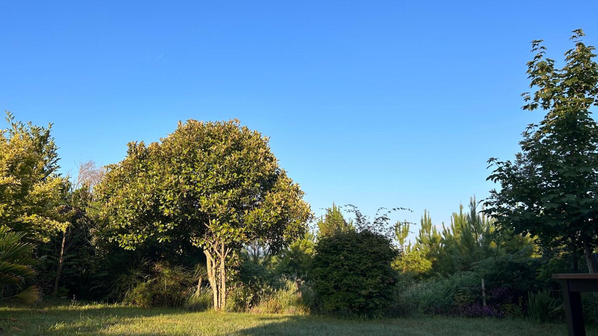 Jolie Maison De Vacances Avec Terrasse Et Jardin Saint-Julien-en-Born Extérieur photo